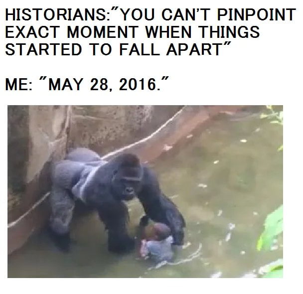 HISTORIANS: