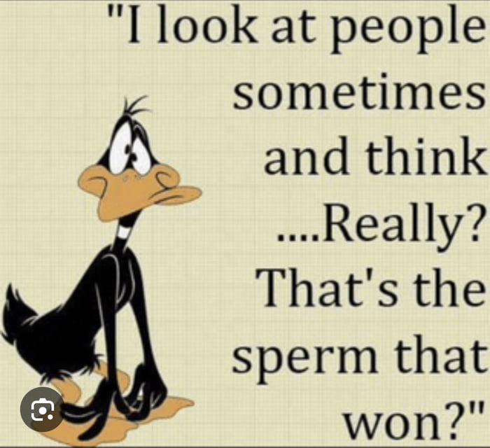 I look at people sometimes and think ....Really? That's the sperm that won?