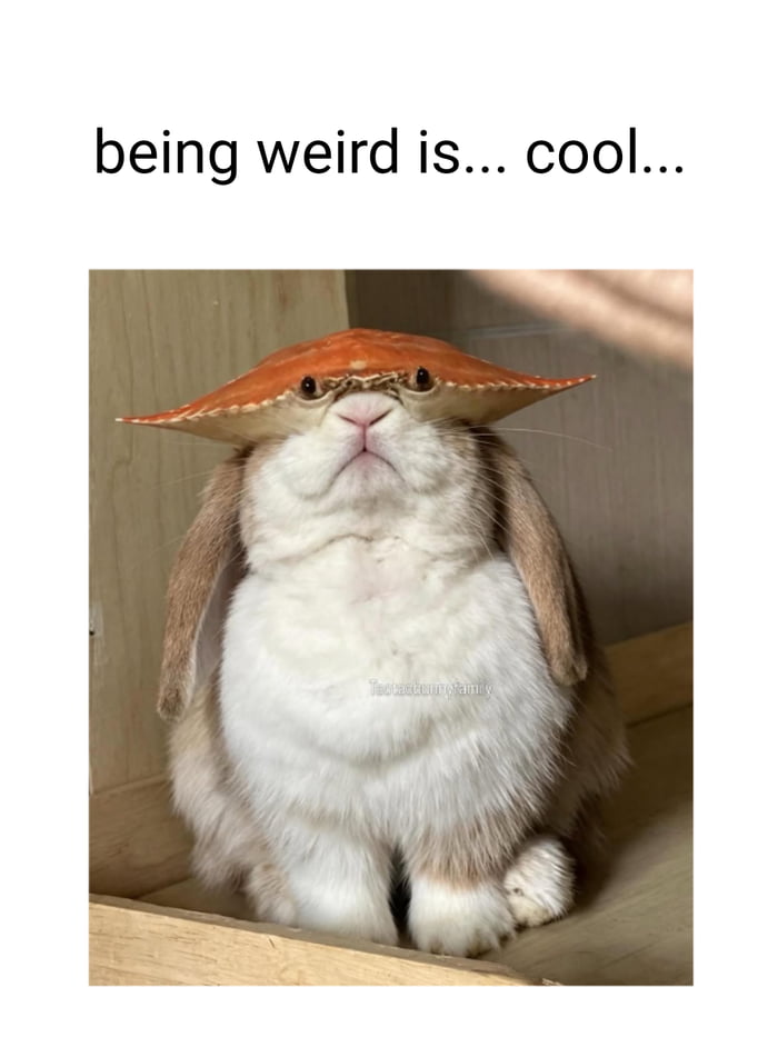 being weird is... cool...