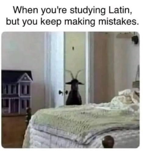 When youre studying Latin but you keep making mistakes