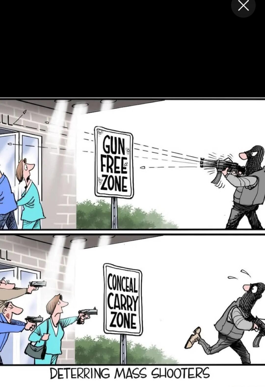 GUN FREE ZONE
CONCEAL CARRY ZONE
DETER RING MASS SHOOTERS