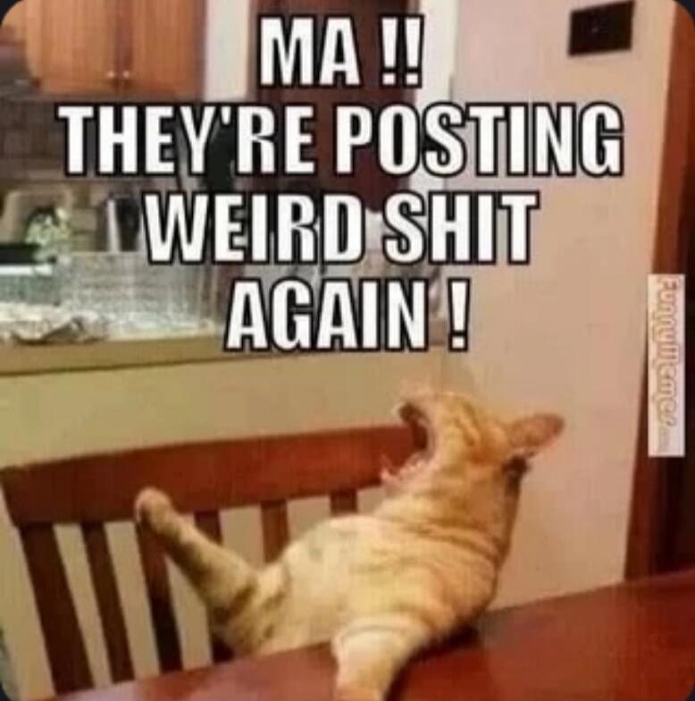 MA !! THEY'RE POSTING WEIRD SHIT AGAIN!