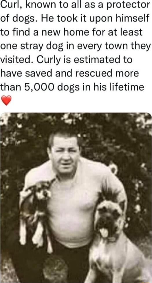 Curl known to all as a protector of dogs He took it upon himself to find a new home for at least one stray dog in every town they visited Curly is estimated to have saved and rescued more than 5000 dogs in his lifetime