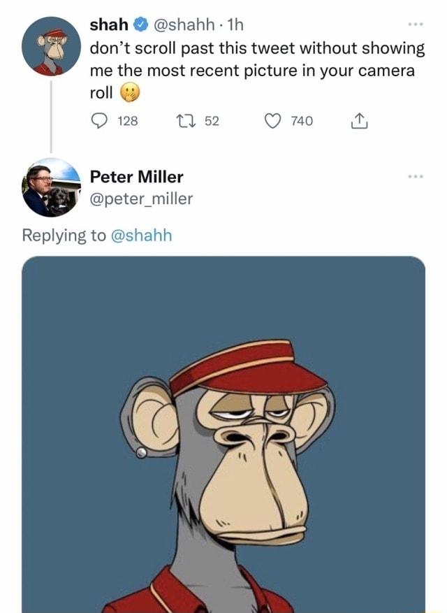 shah shahh 1h dont scroll past this tweet without showing me the most recent picture in your camera Q mo i Peter Miller peter_miller Replying to shahh