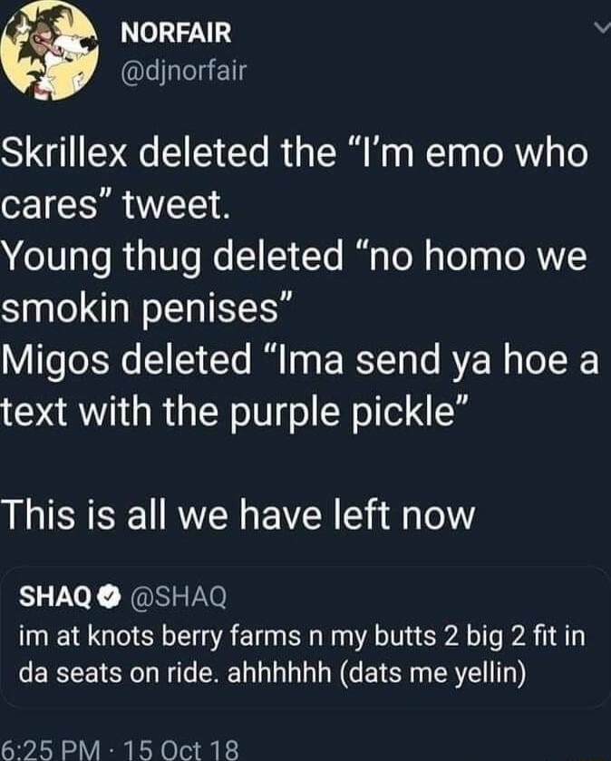 NORFAIR v L IS Skrillex deleted the Im emo who ISR Young thug deleted no homo we smokin penises Migos deleted Ima send ya hoe a text with the purple pickle This is all we have left now SHAQ SHAQ im at knots berry farms n my butts 2 big 2 fit in EREETSNT T CRE L N CEYEE R 625 PM 150ct 18