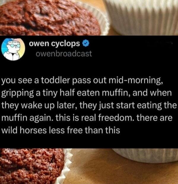 owen cyclops owenbroadcast you see a toddler pass out mid-morning, gripping a tiny half eaten muffin, and when they wake up later, they just start eating the muffin again. this is real freedom. there are wild horses less free than this