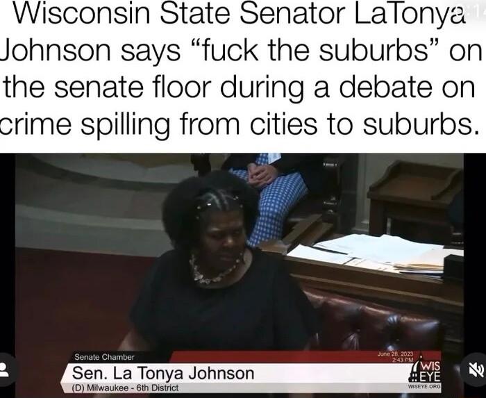 Wisconsin State Senator Lalonya ohnson says fuck the suburbs on the senate floor during a debate on rime spilling from cities to suburbs Sen La Tonya Johnson Syt