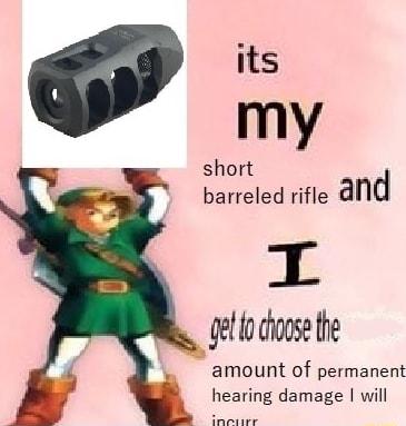 its short barreled rifle and I g6l lochoose the amount of permanent hearing damage will inecure