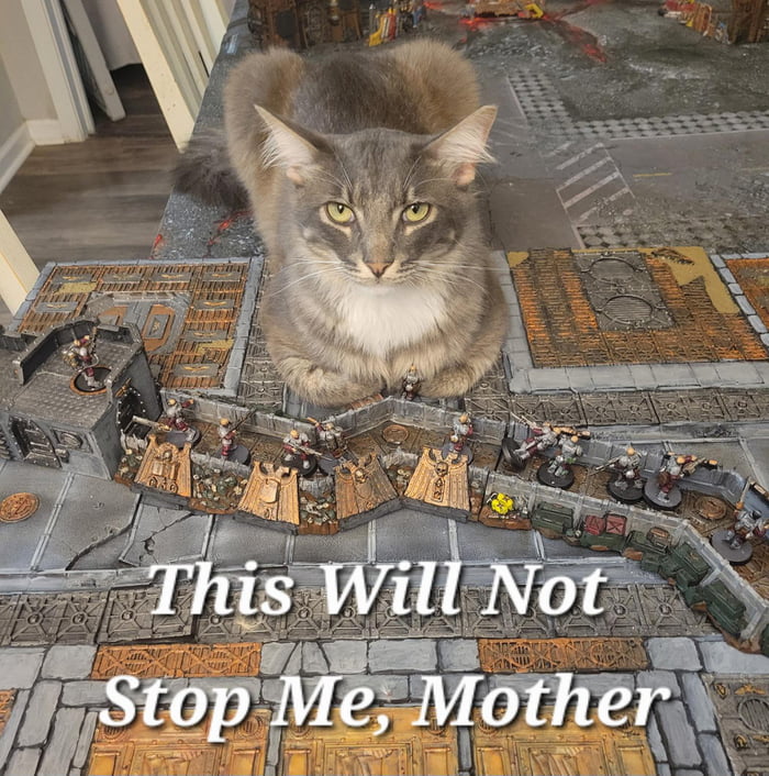 This Will Not Stop Me, Mother