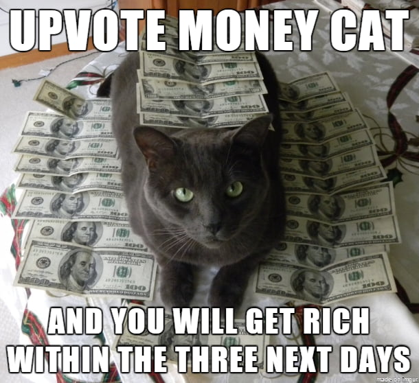 UPVOTE MONEY CAT AND YOU WILL GET RICH WITHIN THE THREE NEXT DAYS