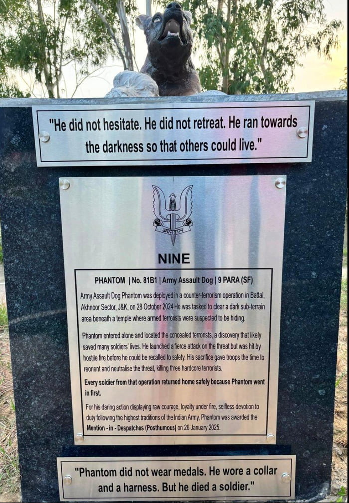 He did not hesitate. He did not retreat. He ran towards the darkness so that others could live. NINE PHANTOM | No. 81B1 | Army Assault Dog | 9 PARA (SF) Army Assault Dog Phantom was deployed in a counter-terrorism operation in Battal, Akhnoor Sector, J&K, on 28 October 2024. He was tasked to clear a dark sub-terrain area beneath a temple where arme
