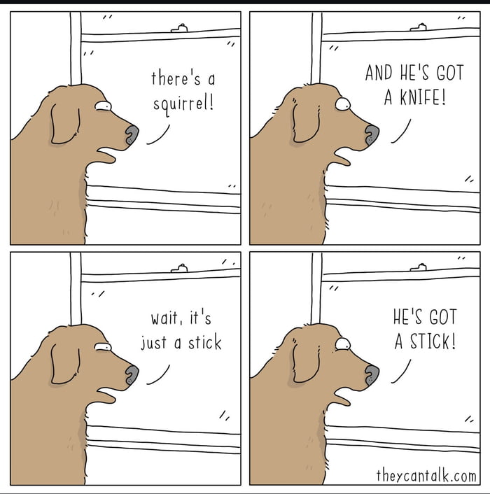 there's a squirrel! AND HE'S GOT A KNIFE! wait, it's just a stick HE'S GOT A STICK!