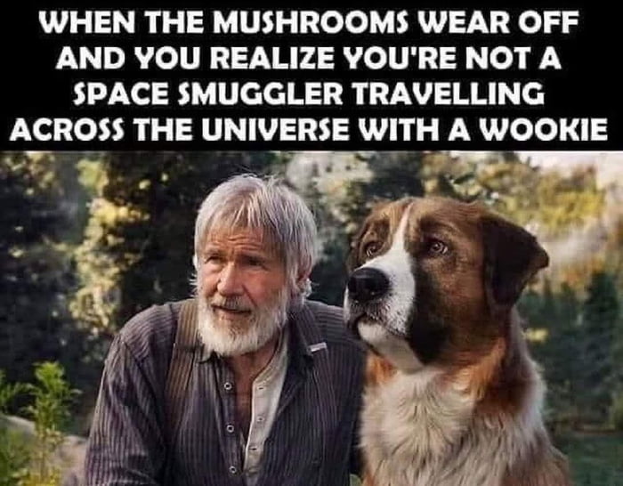 WHEN THE MUSHROOMS WEAR OFF FUR Je TRITNRYAR JolTN10 o iN SPACE SMUGGLER TRAVELLING ACROSS THE UNIVERSE WITH A WOOKIE 2 TR