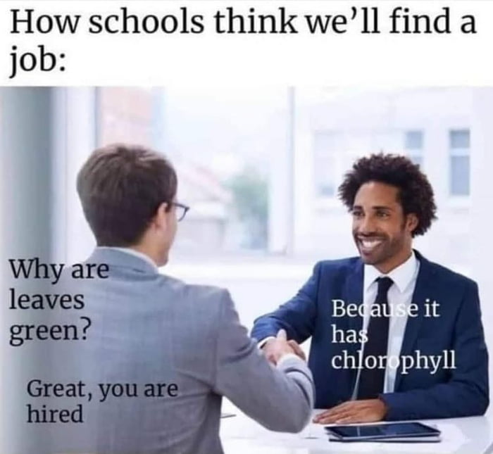 How schools think well find a job