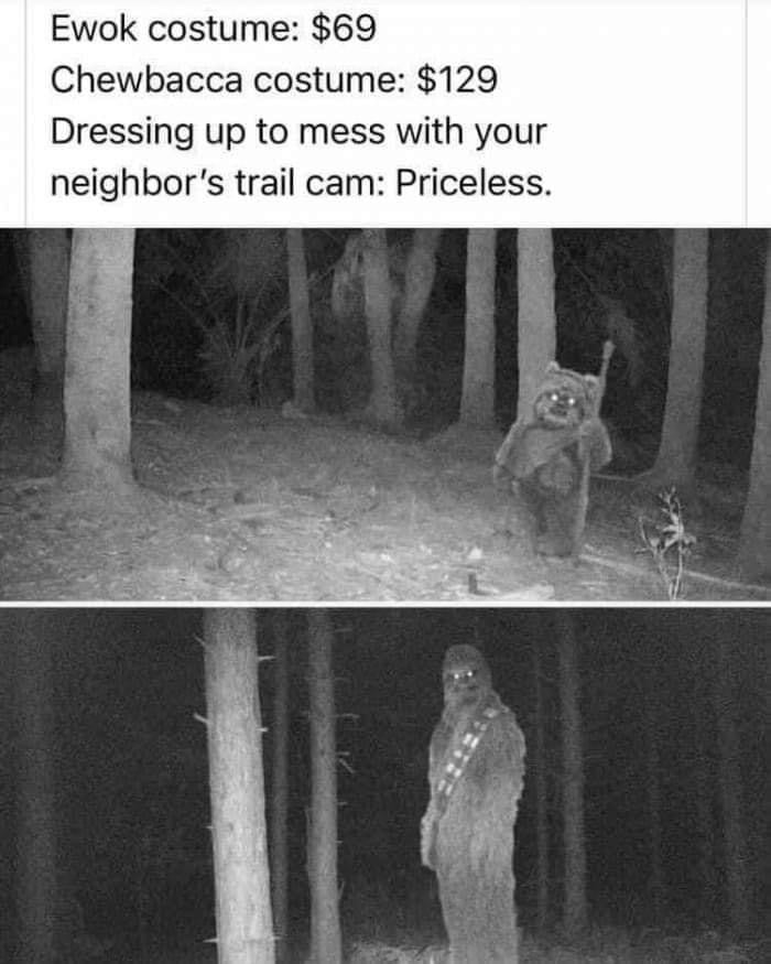 Ewok costume 69 Chewbacca costume 129 Dressing up to mess with your neighbors trail cam Priceless