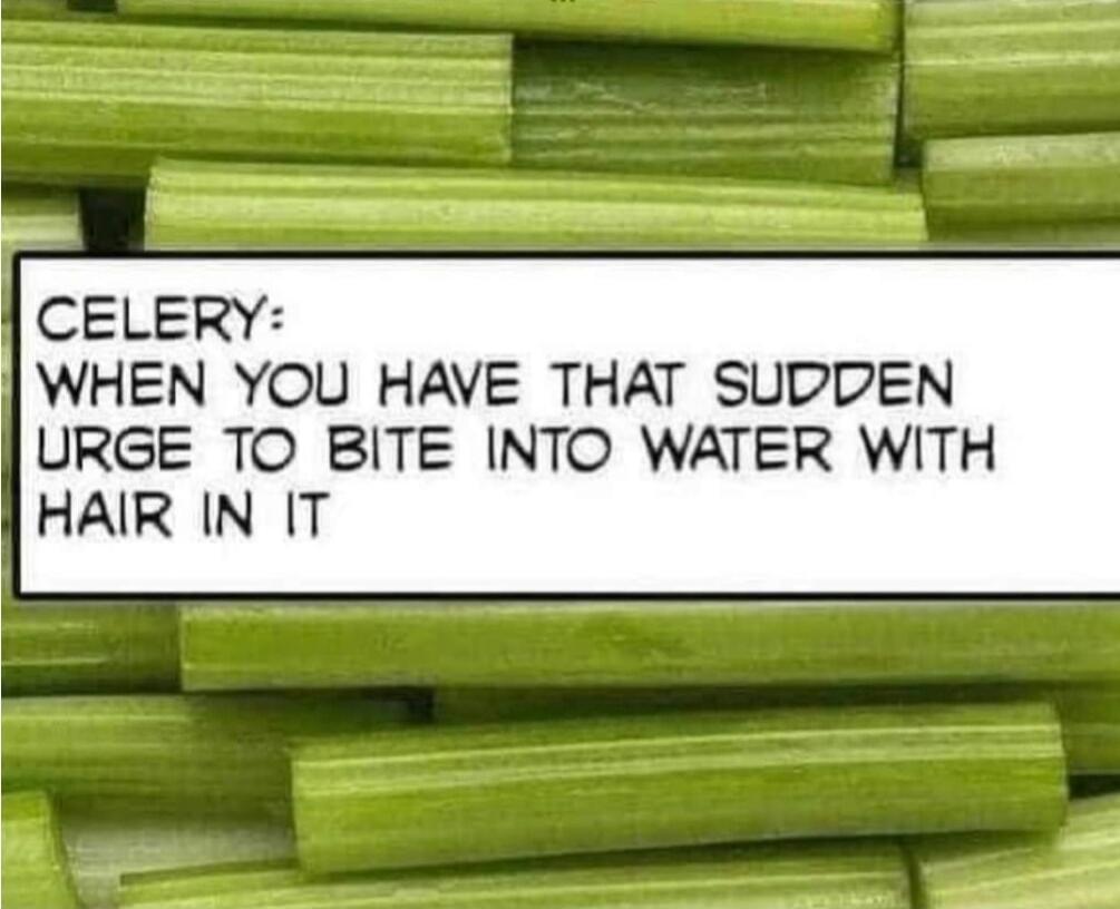 CELERY: WHEN YOU HAVE THAT SUDDEN URGE TO BITE INTO WATER WITH HAIR IN IT
