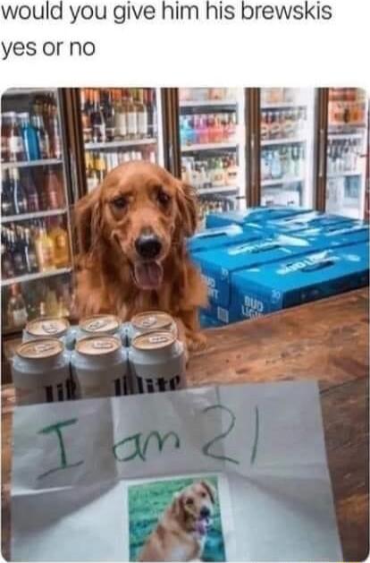 would you give him his brewskis yes or no