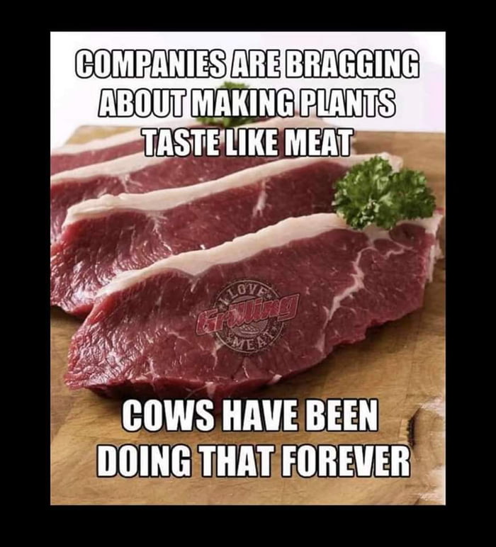 BTS2 L Y HHTE 31 A COWS HAVE BEEN IDOING THATFOREVER