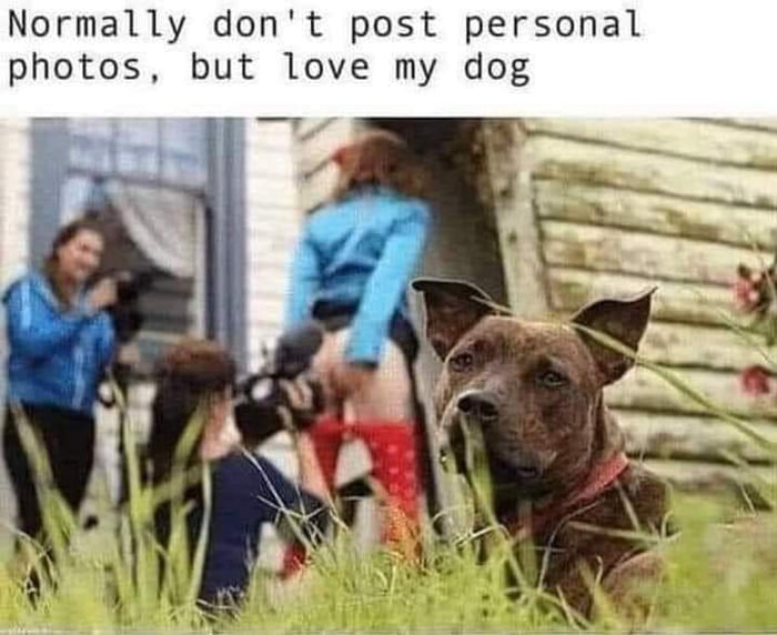 Normally dont post personal photos but love my dog