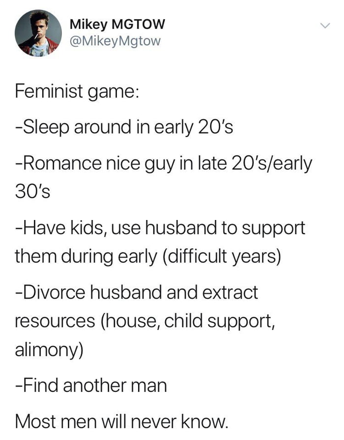 Mikey MGTOW MikeyMgtow Feminist game Sleep around in early 20s Romance nice guy in late 20searly 30s Have kids use husband to support them during early difficult years Divorce husband and extract resources house child support alimony Find another man Most men will never know