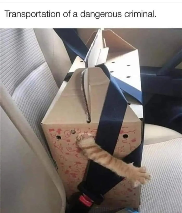 Transportation of a dangerous criminal
