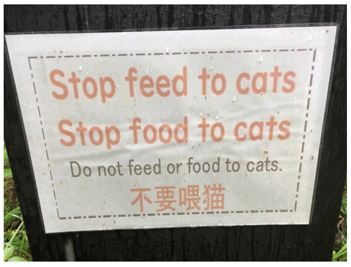 Do not feed or food to cats