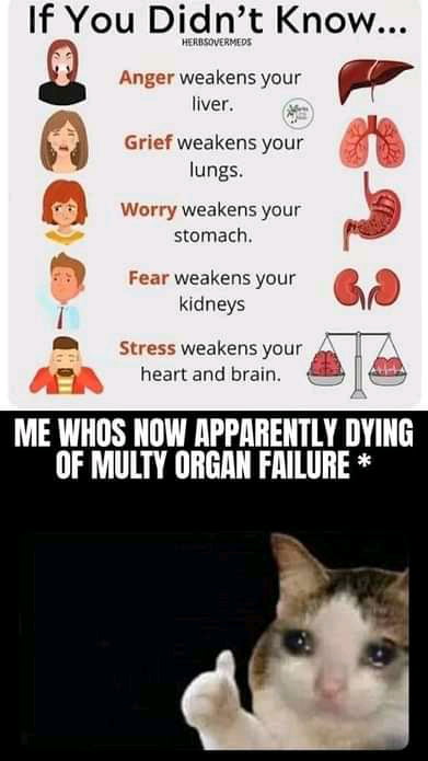 If You Didnt Know 3 weakens your W liver V weakens your s lungs rry weakens your stomach weakens your i kidneys s weakens your heart and brain ME WHOS NOW APPARENTLY DYING OF MULTY ORGAN FAILURE