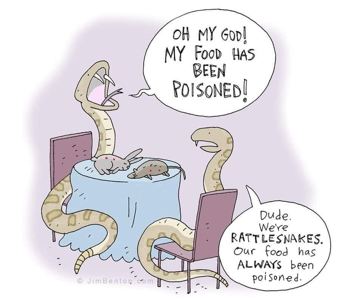 o MY Gopl MY Food Has BEEN RoISoNED RATT LESNAKES Our food has I ALWAYS been Poisoned