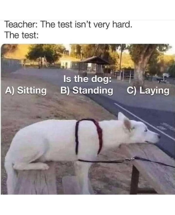 Teacher The test isnt very hard The test Is the dog AV ISTha 1o o T RS eTa Lo o B 0 BEYV T rgix