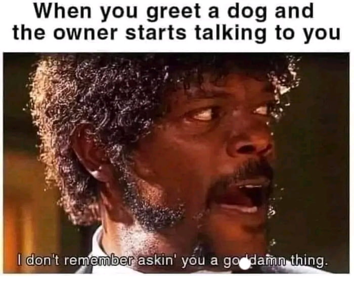 When you greet a dog and the owner starts talking to you g dont remMESWaskin you a gogeamnathing