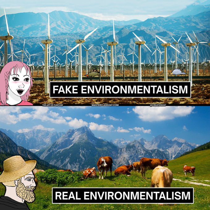 REAL ENVIRONMENTALISM