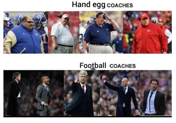 Hand egg coacHes v