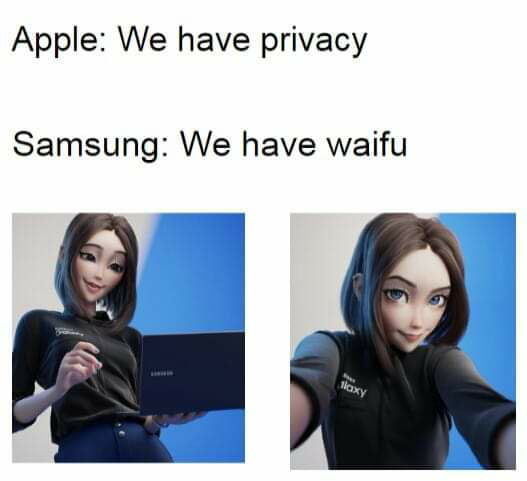 Apple We have privacy Samsung We have waifu