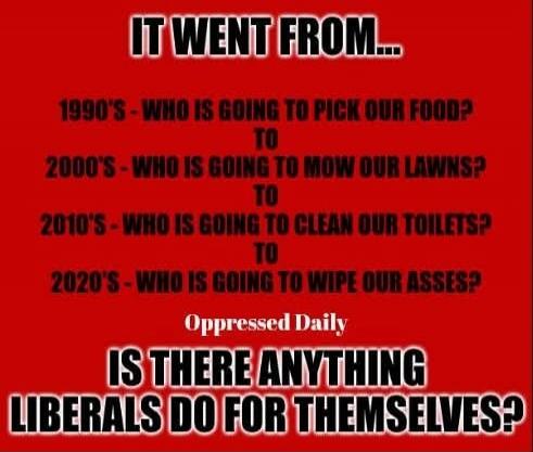 IT WENT FROM... 1990'S - WHO IS GOING TO PICK OUR FOOD? TO 2000'S - WHO IS GOING TO MOW OUR LAWNS? TO 2010'S - WHO IS GOING TO CLEAN OUR TOILETS? TO 2020'S - WHO IS GOING TO WIPE OUR ASSES? Oppressed Daily IS THERE ANYTHING LIBERALS DO FOR THEMSELVES?