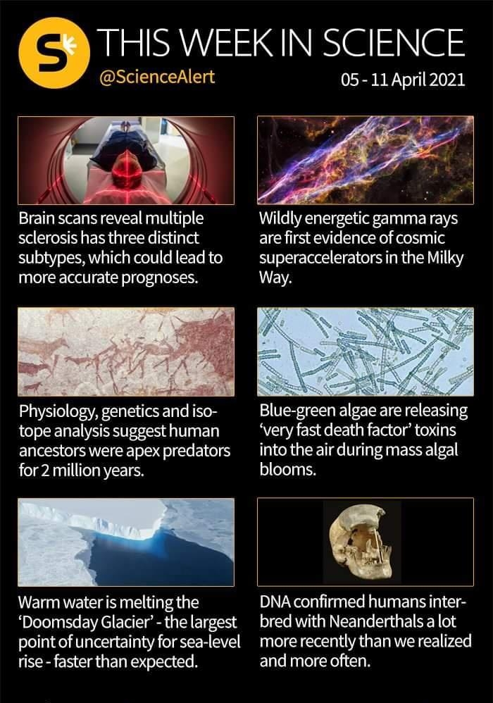 V ScienceAlert MaSNEES NN SN e 05 11April 2021 a 1 o T Y CVEE T H o sclerosis has three distinct subtypes which could lead to more accurate elfefeiplonoN Physiology genetics and iso tope analysis suggest human ancestors were apex predators for 2 million years o Wldly energetc gamma rays are first evidence of cosmic superaccelerators in the Milky Way Blue green algae are releasing very fast death f