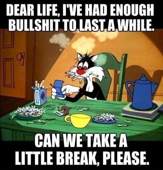DEAR LIFE, I'VE HAD ENOUGH BULLSHIT TO LAST A WHILE. CAN WE TAKE A LITTLE BREAK, PLEASE.