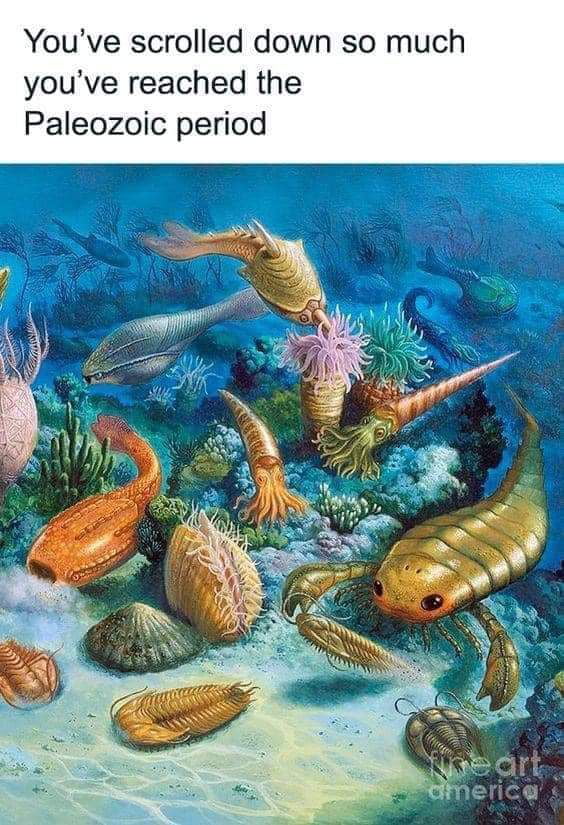 Youve scrolled down so much youve reached the Paleozoic period