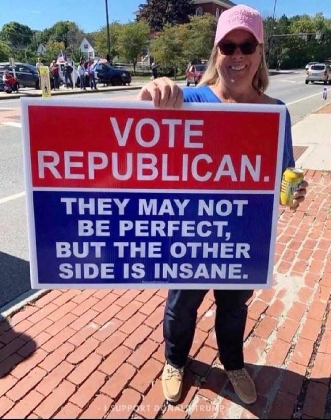 VOTE REPUBLICAN. THEY MAY NOT BE PERFECT, BUT THE OTHER SIDE IS INSANE. WOMEN FOR TRUMP. I SUPPORT DONALD TRUMP.