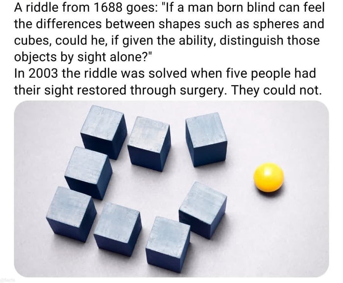 Ariddle from 1688 goes If a man born blind can feel the differences between shapes such as spheres and cubes could he if given the ability distinguish those objects by sight alone In 2003 the riddle was solved when five people had their sight restored through surgery They could not w e