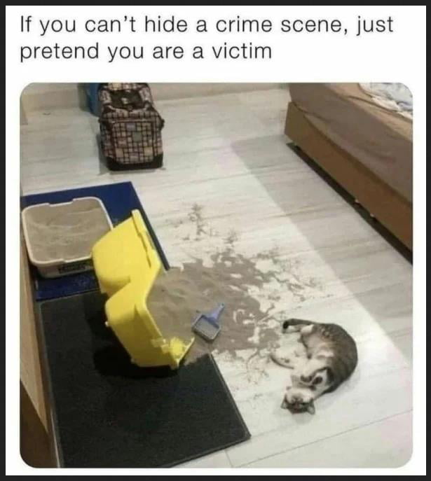 If you cant hide a crime scene just pretend you are a victim