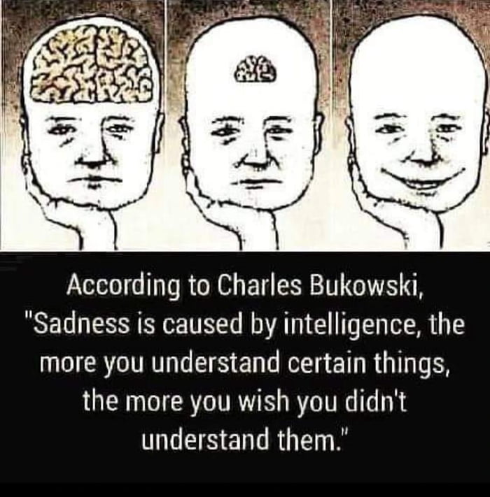 According to Charles Bukowski Sadness is caused by intelligence the more you understand certain things the more you wish you didnt understand them