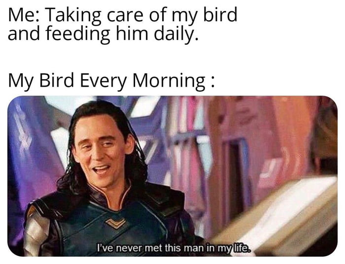 Me Taking care of my bird and feeding him daily Ive never met this man in myjlife