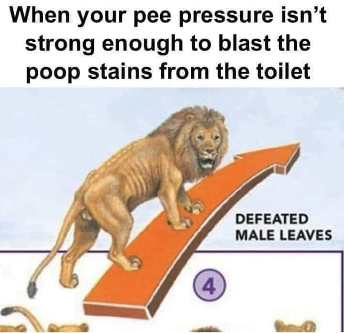 When your pee pressure isnt strong enough to blast the poop stains from the toilet DEFEATED MALE LEAVES