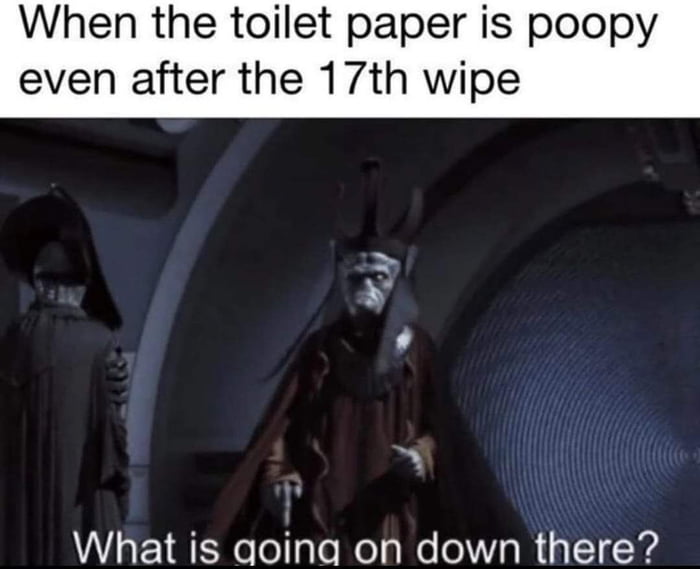 When the toilet paper is poopy even after the 17th wipe 7y What is qoinag on down there