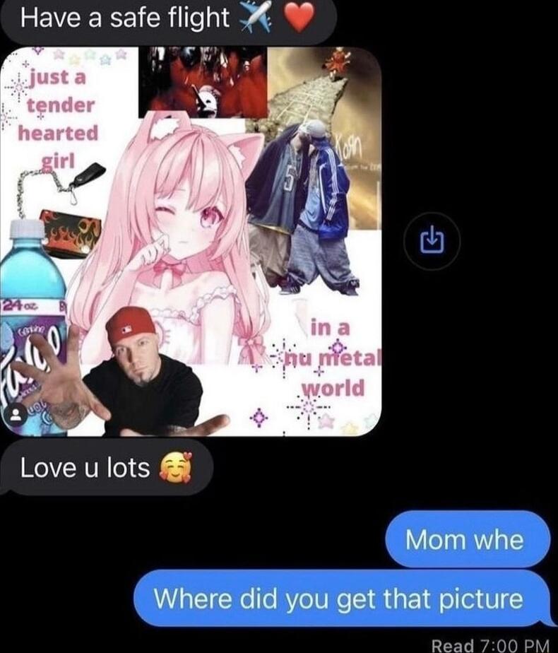 Have a safe flight nmFE Love u lots Mom whe Where did you get that picture Read 700 PM