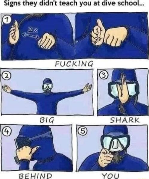 Signs they didnt teach you at dive school BEHIND