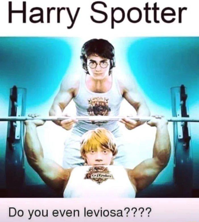 Harry Spotter