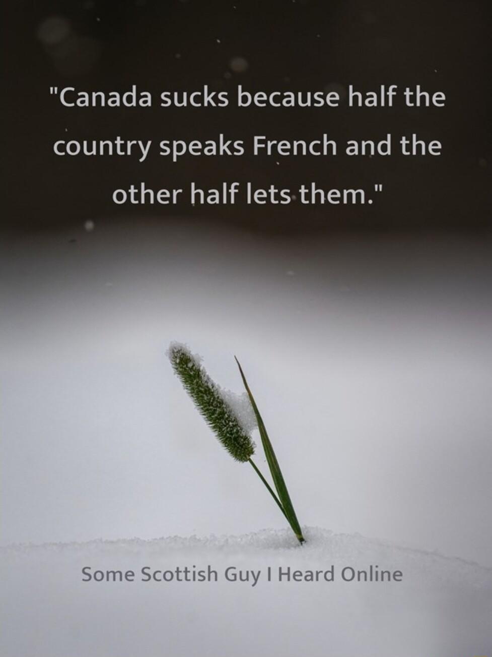 Canada sucks because half the country speaks French and the other half lets them