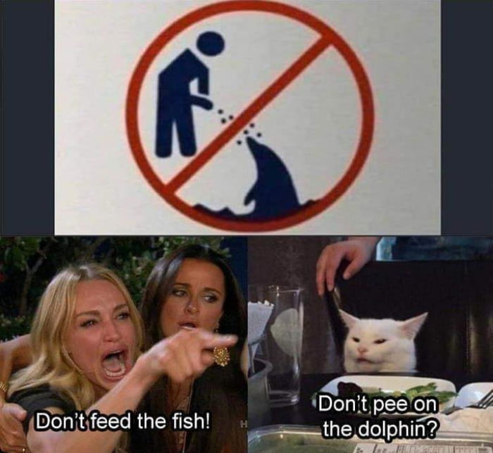 Donitfeed the fish