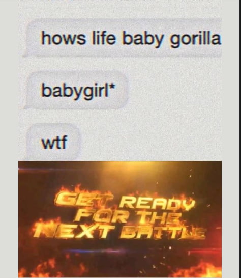 hows life baby gorilla babygirl